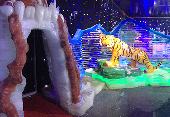 南浔古镇冰雪世界第 23 张图片