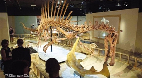 国家地理博物馆