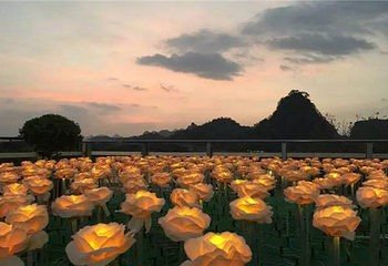 玫瑰花海灯光节第 4 张图片