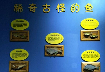 蓬莱渔家民俗文化馆第 1 张图片