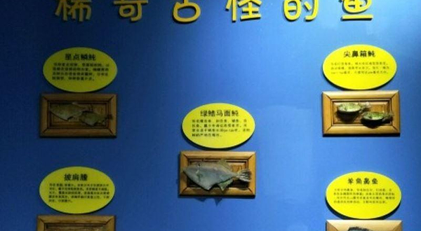 蓬莱渔家民俗文化馆