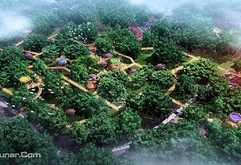 郯城•美栗世界生态旅游度假区第 2 张图片