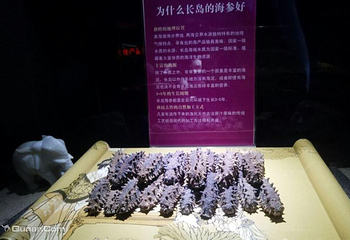 蓬莱渔家民俗文化馆第 3 张图片