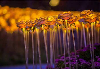 玫瑰花海灯光节第 3 张图片
