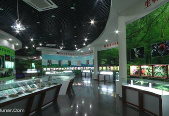 中国桫椤博物馆第 3 张图片