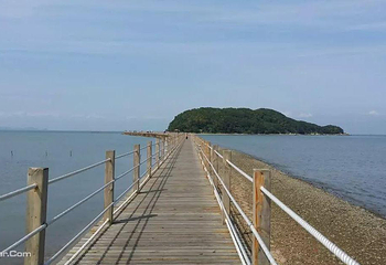 海陵岛红树林国家湿地公园第 9 张图片