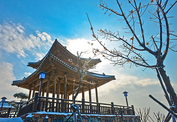 万安山山顶公园第 29 张图片