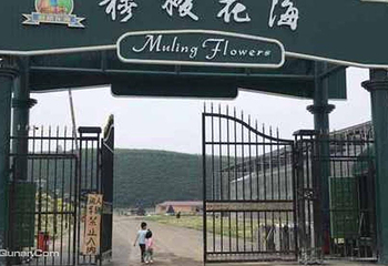 穆棱花海第 4 张图片