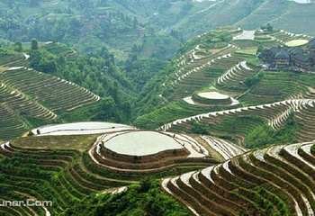金佛顶第 9 张图片