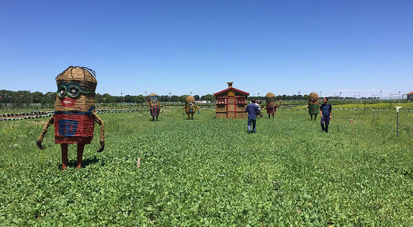 花田草海薰衣草庄园