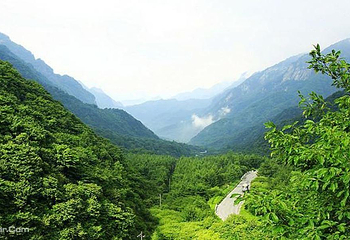 鲸鱼沟竹海风景区第 2 张图片