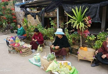曼掌村第 4 张图片