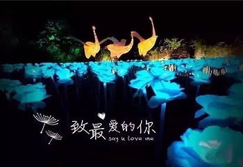 玫瑰花海灯光节第 2 张图片