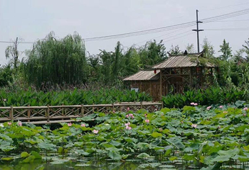 花博园第 4 张图片