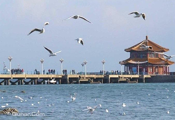 青岛湾第 1 张图片