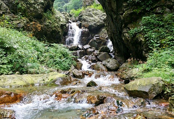 蟠龙谷第 10 张图片