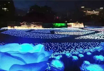 玫瑰花海灯光节第 1 张图片
