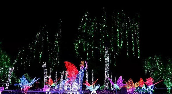 园博园第二届梦幻灯光节