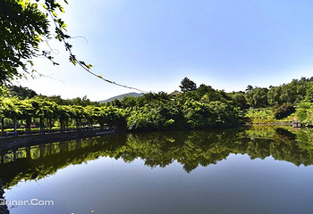 趣野天目湖自然营地第 7 张图片