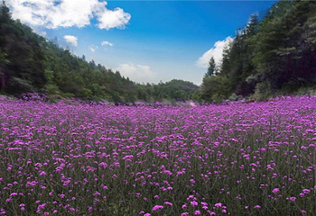花千谷生态旅游景区第 5 张图片
