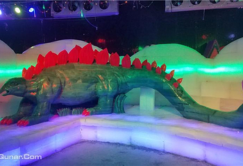 梦幻冰雪大世界第 2 张图片