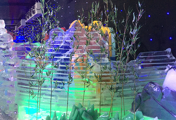 南浔古镇冰雪世界第 7 张图片