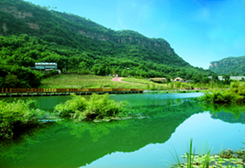 清溪谷旅游区-花田酒地景区第 34 张图片