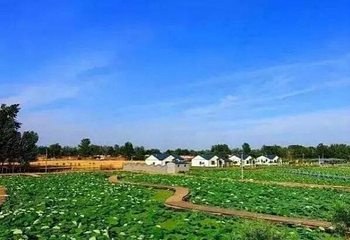 正定大鸣荷韵荷花节第 5 张图片
