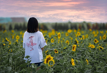 山河四季风景区第 2 张图片