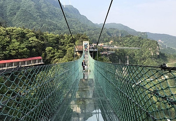 梦幻奥陶纪景区第 29 张图片