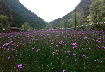 崆峒胭脂峡漂流第 5 张图片