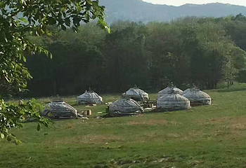 森工平山皇家鹿苑第 6 张图片