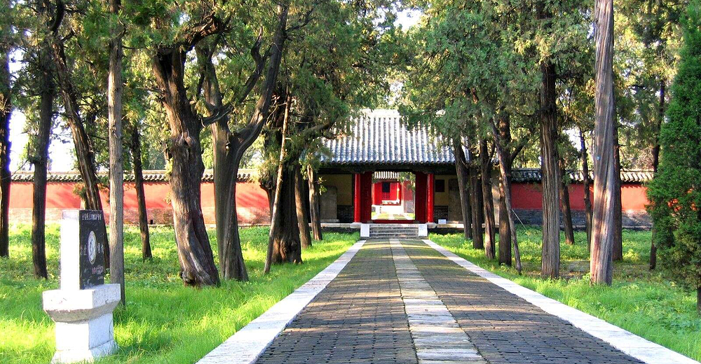 山东曲阜孔府 孔庙 孔林一日游【高端小包团 独立成团 拒绝大散拼】