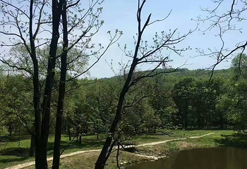 森工平山皇家鹿苑第 2 张图片
