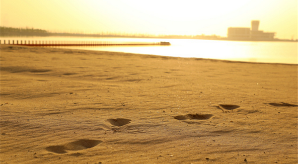 鼓浪沙滩猫爪温泉