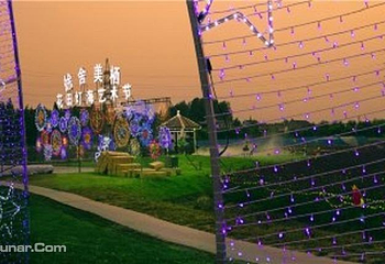 徐舍美栖花田灯光节第 3 张图片
