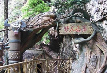 野人山寨第 1 张图片