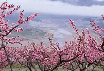 桃花山风景区第 3 张图片