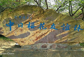 中日樱花友谊林第 1 张图片