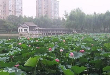 团结湖公园第 5 张图片