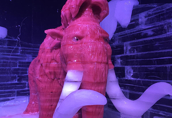 南浔古镇冰雪世界第 28 张图片