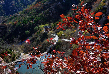 北京凤凰岭景区第 7 张图片