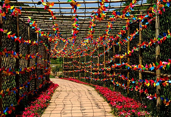 花坝旅游度假区第 10 张图片