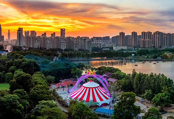 东湖海洋乐园东湖大马戏第 19 张图片