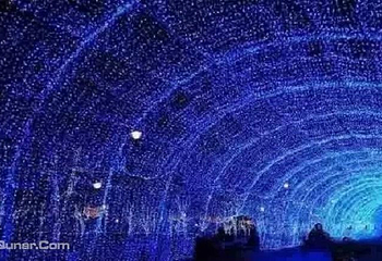 鸟巢梦幻星光节第 1 张图片