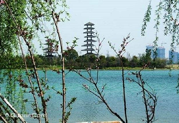 秦壁生态园第 3 张图片