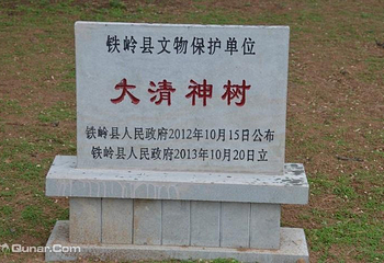 红带沟大清神树第 6 张图片