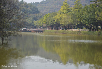 李小龙乐园第 41 张图片