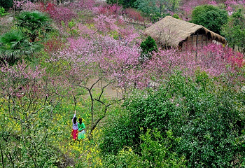 酉阳桃花源景区第 22 张图片
