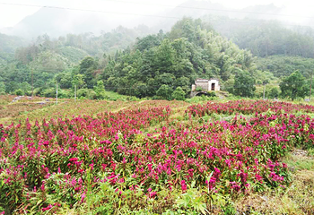 瑶里景区第 2 张图片